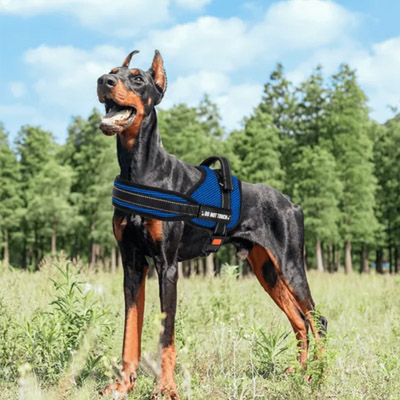 Postroj na obranu Nobleza